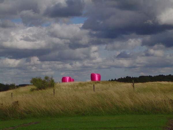 Strohballen, Görresburg; Foto: A. Liebenau